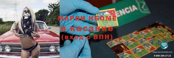 прущие грибы Алзамай