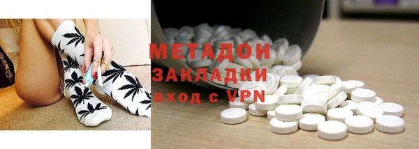 шишки Абаза