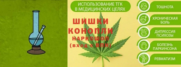 шишки Абаза
