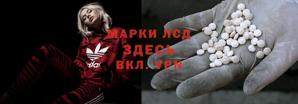 индика Алексин