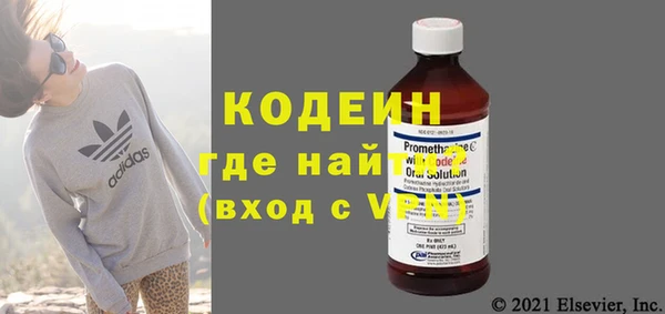шишки Абаза