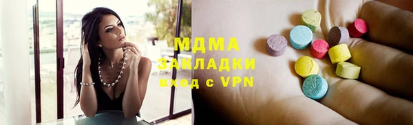 индика Алексин