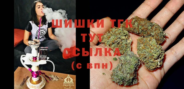 индика Алексин