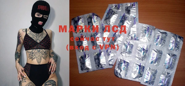 прущие грибы Алзамай