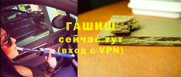 шишки Абаза