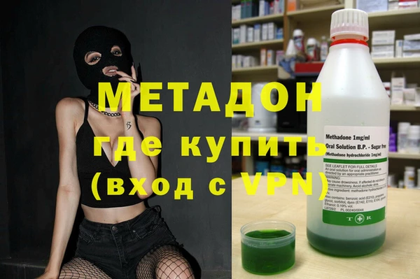 шишки Абаза