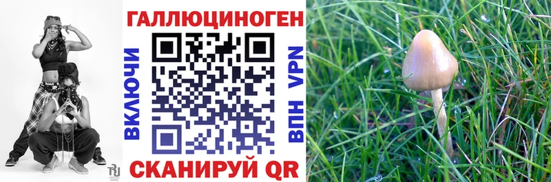 Псилоцибиновые грибы прущие грибы Чердынь